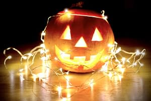Read more about the article Planned Spooks: Halloween Still Happening in Seattle