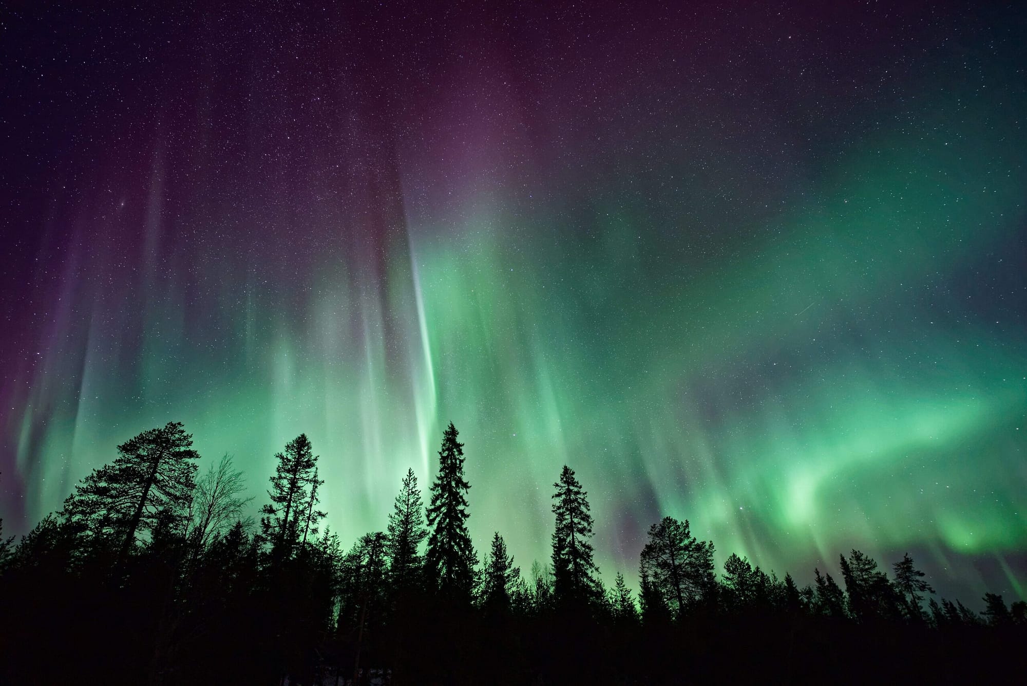 You are currently viewing Northern Lights To Make An Appearance In The Washington Sky