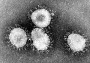 Read more about the article School Closures In Shadow Of Coronavirus Outbreak