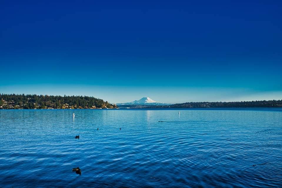 You are currently viewing The Best Summer Destinations in Seattle