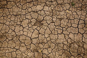 Read more about the article Washington State Declares Drought in 12 Counties