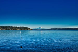 Read more about the article The Best Summer Destinations in Seattle